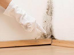 Best Mold Prevention Services  in USA